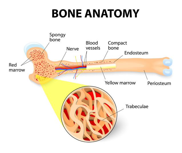 allogeneic bone marrow transplant