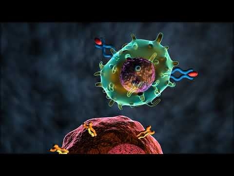 Advances In Immunotherapy For Cancer