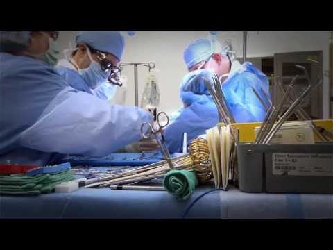 Ex-Vivo Liver Transplant