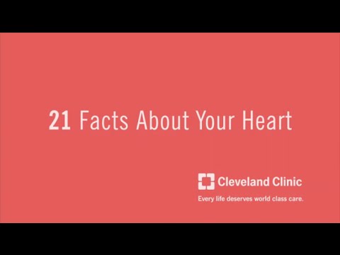 21 Facts About Your Heart