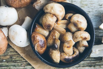Prostate Cancer Risk and Eating Mushrooms