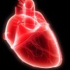 matthew banks heart valve