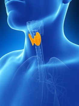 Laparoscopic Thyroid Lobectomy