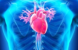 Minimally Invasive Heart Valve Surgery