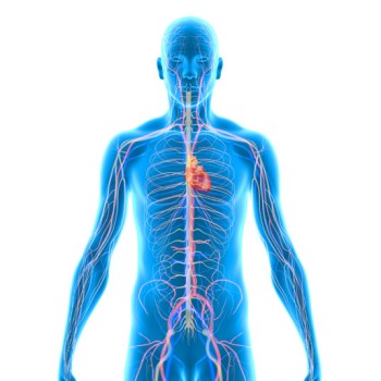 Minimally Invasive Pulmonary Artery Valve Replacement 