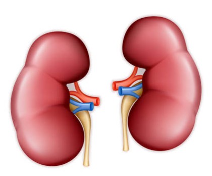 Pancreas-Kidney Transplant