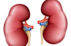 Pancreas-Kidney Transplant