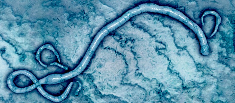 A Long Road for Ebola Survivors
