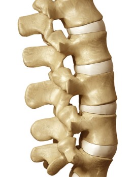 Back and Neck Surgery - Spinal Fusion
