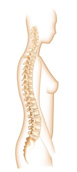 Cervical Spine Fusion