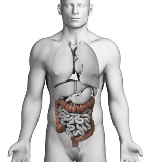Colon Resection