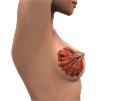 Nipple Areola Reconstruction