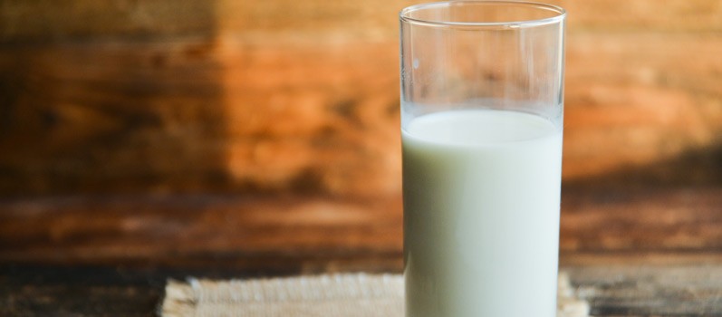 Study Looks at Benefits of Whole Milk Products